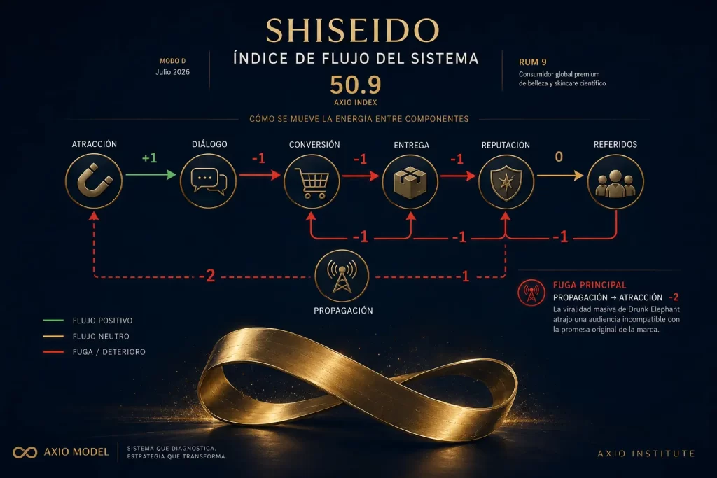 Diagnóstico Marketing Shiseido